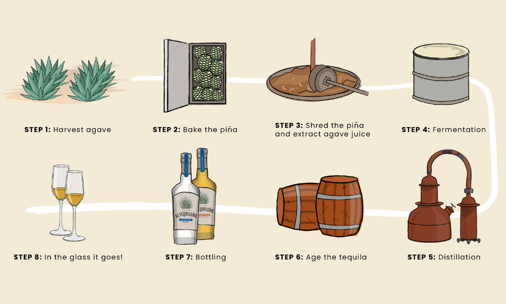 How to Make Tequila 101 Willow Park Wines & Spirits