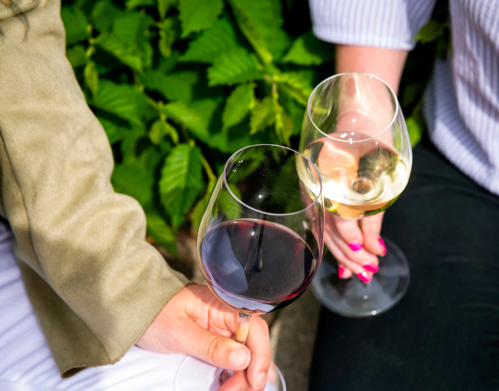 TasteDay Thursday Intro to Italy Willow Park Wines & Spirits