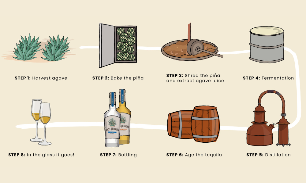 How to Make Tequila 101 – Willow Park Wines & Spirits
