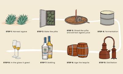 How to Make Tequila 101