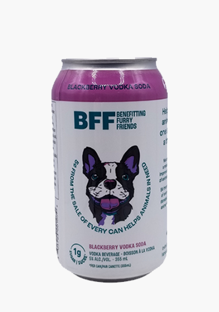 BFF Blackberry Vodka Soda - 6 X 355ML