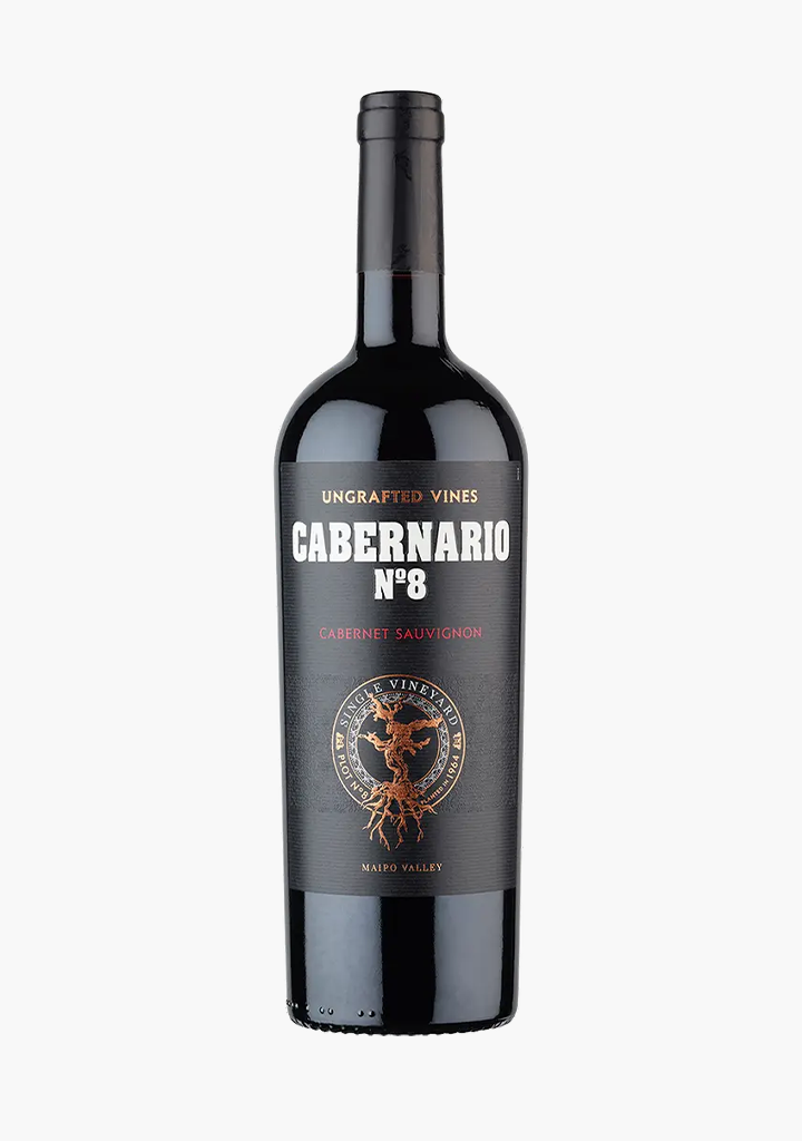 Santa Rita Cabernario No.8 Cabernet Sauvignon 2020, Maipo Valley, Chile