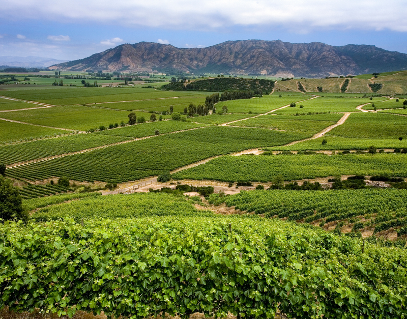 South America Festival