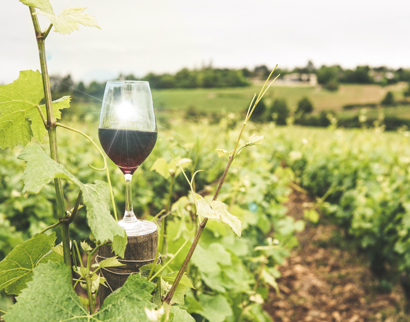TasteDay Thursday: Bordeaux Beauty