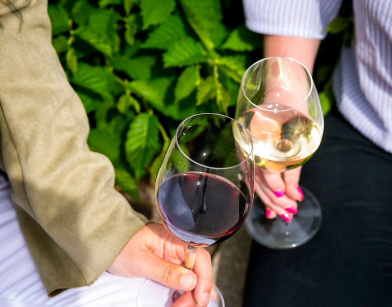 TasteDay Thursday: Intro to Italy