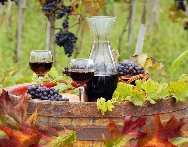 TasteDay Thursday: Pinot, Please